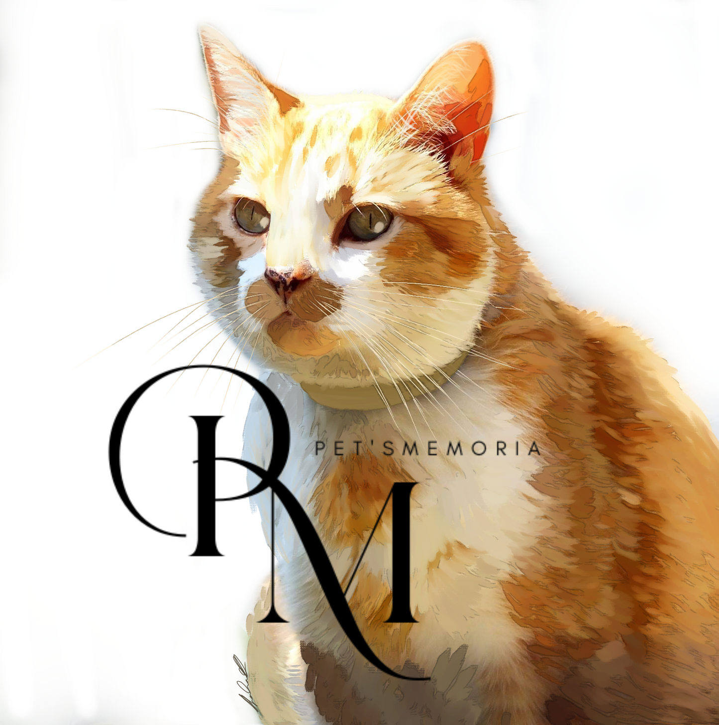 Lovely cat Poster
