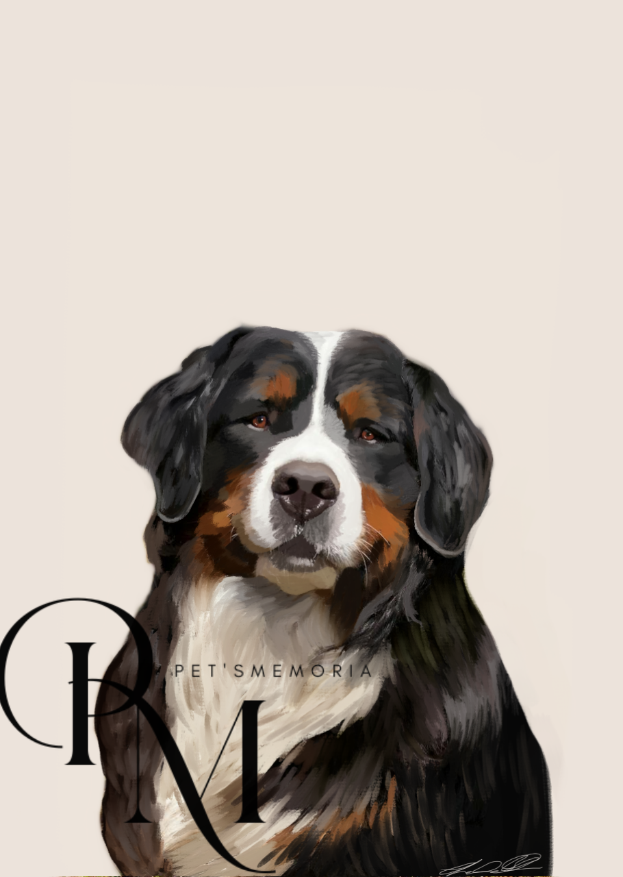 Bernese mountain dog Poster